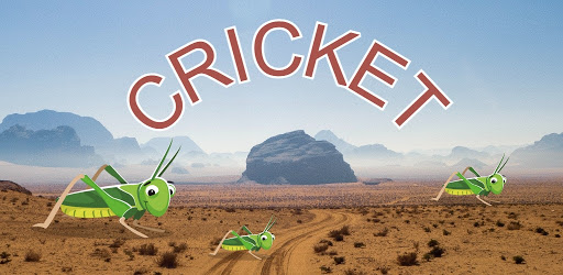 Crickets Meme Sound Button Screen 3