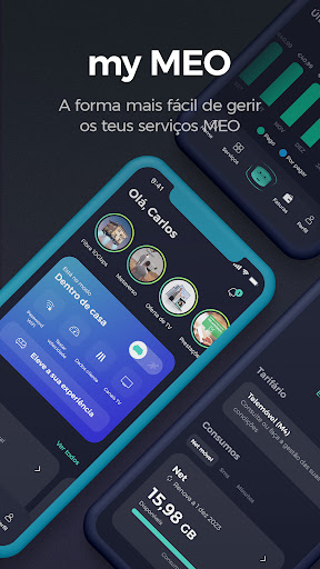 Screenshot of my MEO