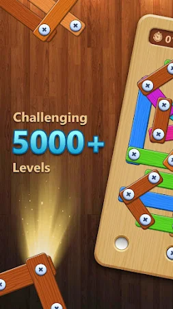 Game screenshot Screw Nuts And Bolts Puzzle mod apk