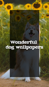 Cute Dog Wallpapers