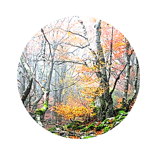 Riofrío de Riaza Informa logo