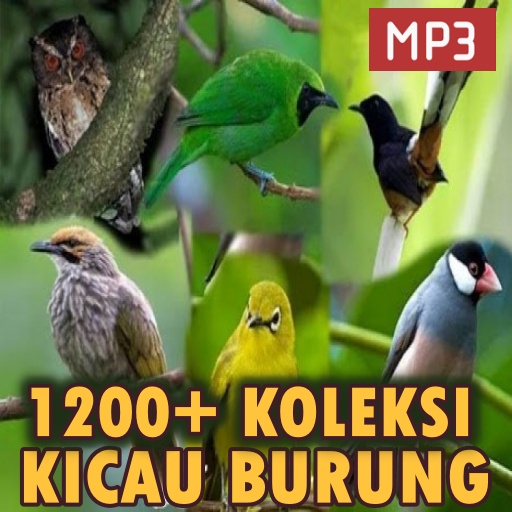 1500+ Suara Kicau Burung MP3 Download on Windows