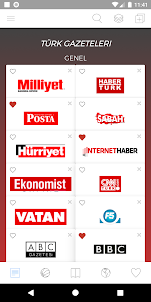 Türk Gazeteleri