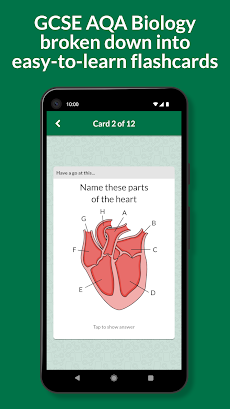 Key Cards GCSE AQA Biologyのおすすめ画像2