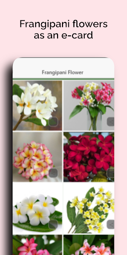 Mothers Day Amazing Flowers Screen 3