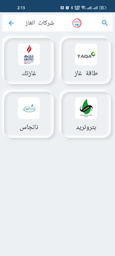 رؤية للدفع الالكتروني Screen 3