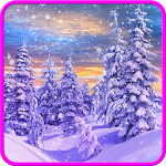 Cover Image of ดาวน์โหลด Winter and Christmas Wallpaper  APK