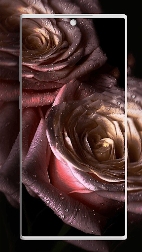 Screenshot of Flower Wallpapers
