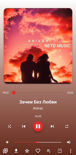 NETD MUSIC Player Screen 2