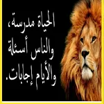 Cover Image of 下载 كلام عن الحياة 1 APK