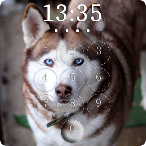 Husky Lock Screen & Wallpapers logo