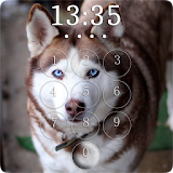 Husky Lock Screen icon