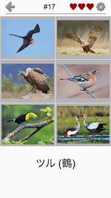 世界の鳥 - 地球の有名な鳥のクイズのおすすめ画像2