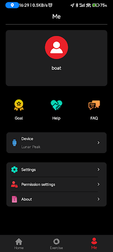 boAt Sync Screen 2