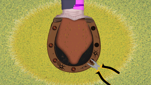 Royal Horse Care Screen 2