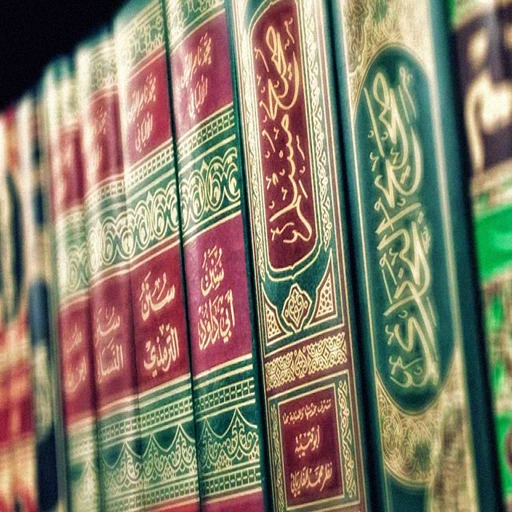 Sahih Hadith logo