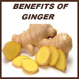 Ginger Benefits icon