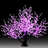 3D cherry blossom icon