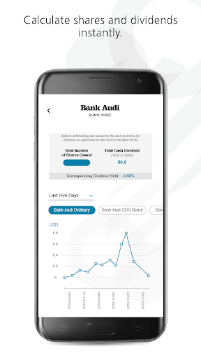 Bank Audi IR screenshot 3