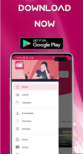 Grade 12 Past papers Guides