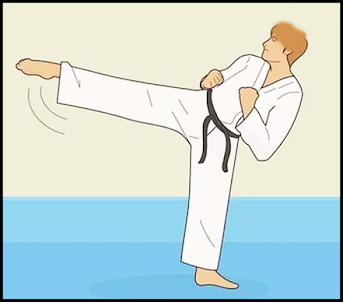 Learn Taekwondo