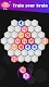 screenshot of Hex Merge Puzzle Hexagon Block