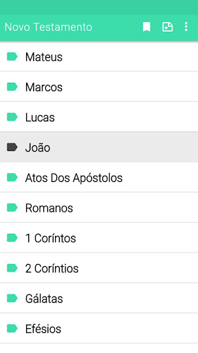 Bíblia Sagrada Novo Testamento Screen 2