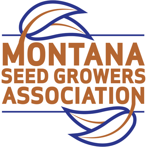 MSGA Field logo