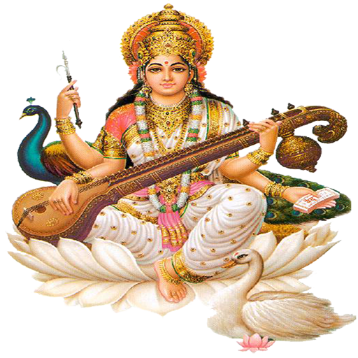 Twinkle Star English High Scho