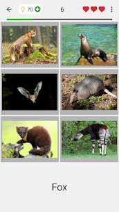 Free Mod Animals Quiz Learn All Mammals 2