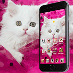 Cover Image of Download Pink Persian white Cat theme 1.1.5 APK