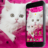 Pink Persian white Cat theme icon