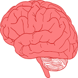 Neuroscience Quiz icon