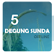 5 Degung Sunda Offline - Androidアプリ