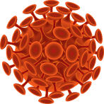 Ewomia Virus