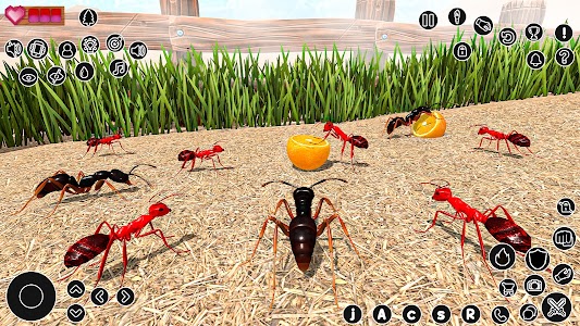 Queen Ant Simulator Ants Life Unknown