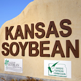 Kansas Soybean icon