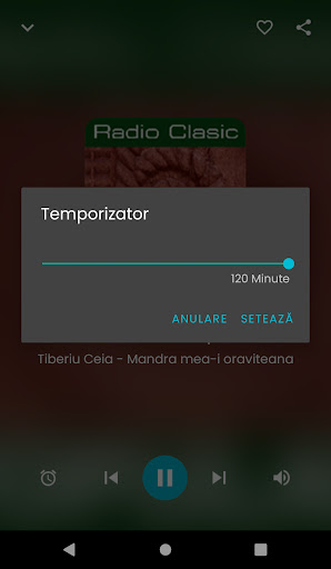 Radio muzică populară Screen 2