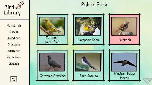 BirdLingo Europe Screenshot