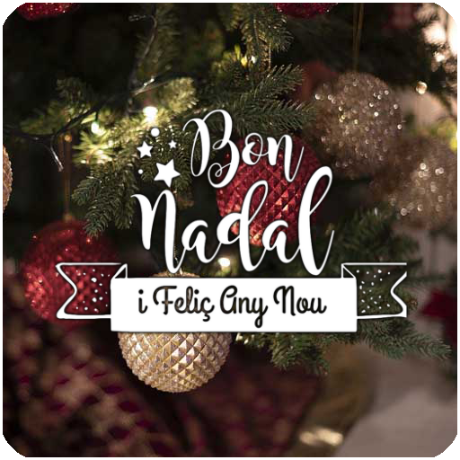Bon Nadal Any Nou i Reis mags