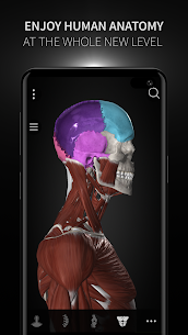 Anatomyka MOD APK- 3D Anatomy Atlas (Unlocked) Download 7
