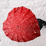 Snowy Red Umbrella LWP icon