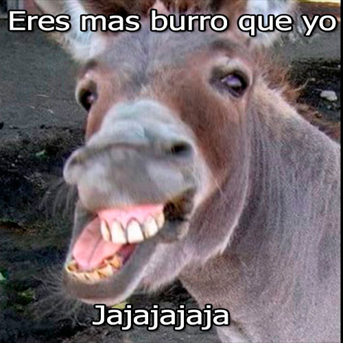 Android application Imagenes chistosas con frases screenshort