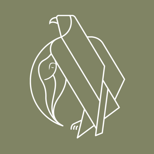 The Falcon Wellness logo