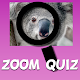 Quiz Zoom. Guess the image. New quiz game Download on Windows