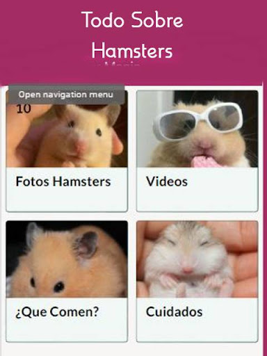 Mascotas Hamsters Screen 3