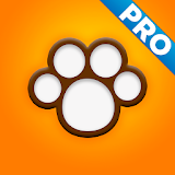 Perfect Dog Pro icon