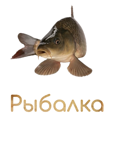 Android application Давай порыбачим screenshort