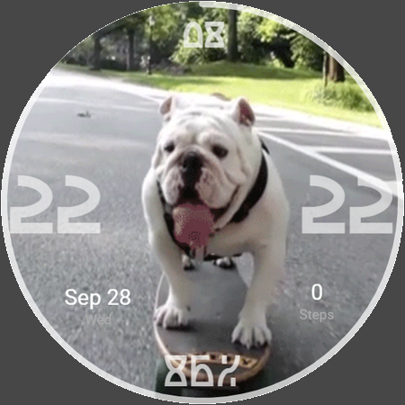 FURRY FRIEND - DOGGY COOL Screen 3