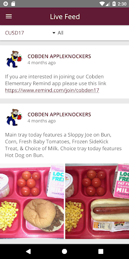 Cobden Unit School District 17 Screen 3
